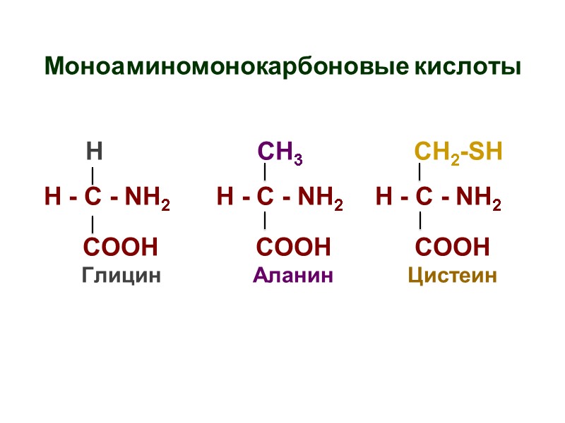 Моноаминомонокарбоновые кислоты        H    